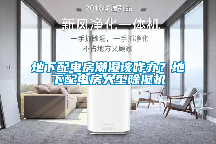 地下配電房潮濕該咋辦？地下配電房大型除濕機