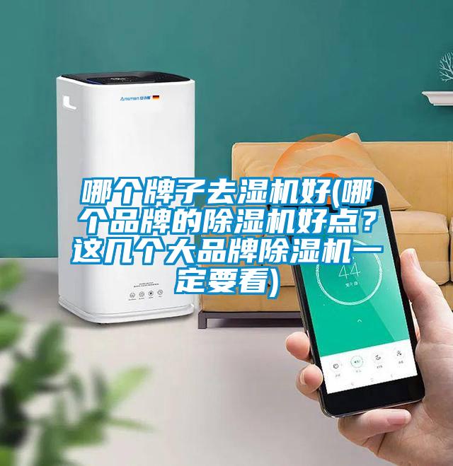 哪個牌子去濕機(jī)好(哪個品牌的除濕機(jī)好點(diǎn)？這幾個大品牌除濕機(jī)一定要看)