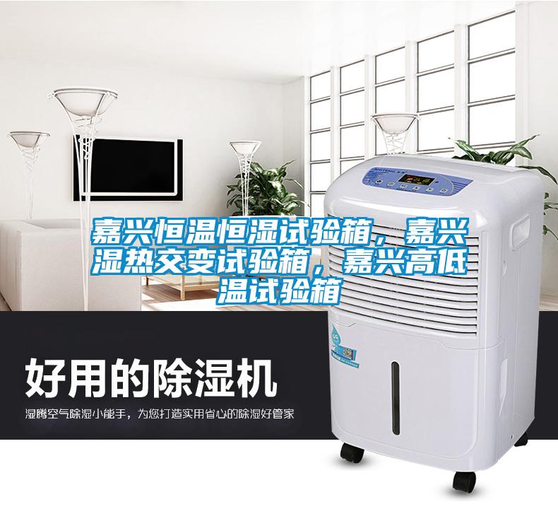 嘉興恒溫恒濕試驗箱，嘉興濕熱交變試驗箱，嘉興高低溫試驗箱