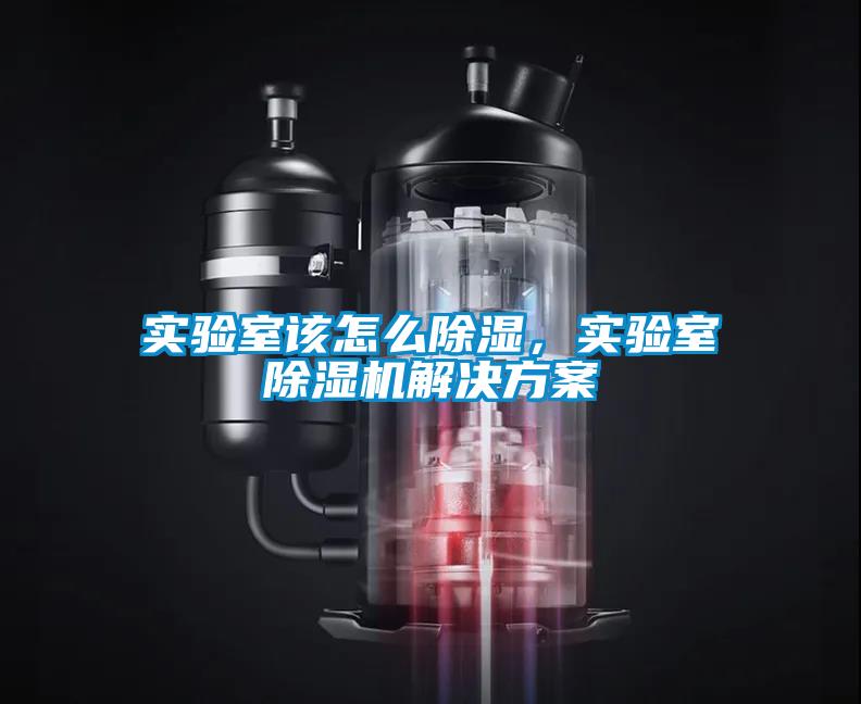 實驗室該怎么除濕，實驗室除濕機(jī)解決方案
