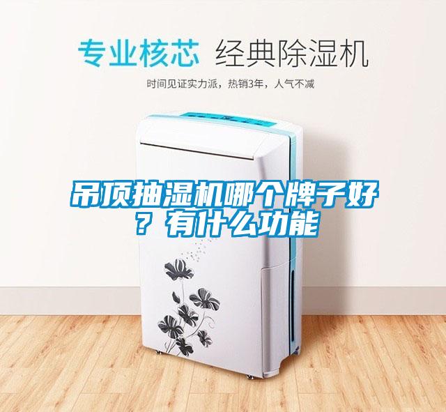 吊頂抽濕機哪個牌子好？有什么功能