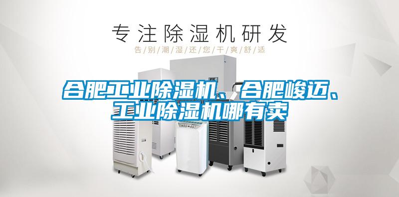 合肥工業(yè)除濕機、合肥峻邁、工業(yè)除濕機哪有賣