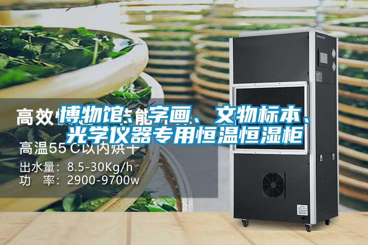 博物館、字畫、文物標本、光學(xué)儀器專用恒溫恒濕柜