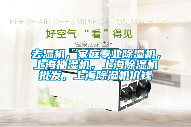 去濕機(jī)，家庭專業(yè)除濕機(jī)，上海抽濕機(jī)，上海除濕機(jī)批發(fā)，上海除濕機(jī)價錢