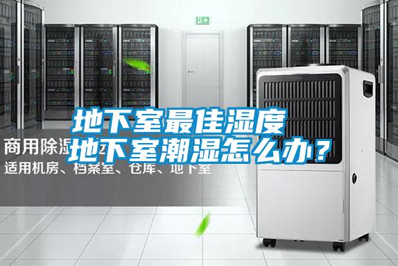 地下室最佳濕度  地下室潮濕怎么辦？