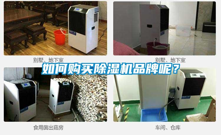 如何購買除濕機品牌呢？