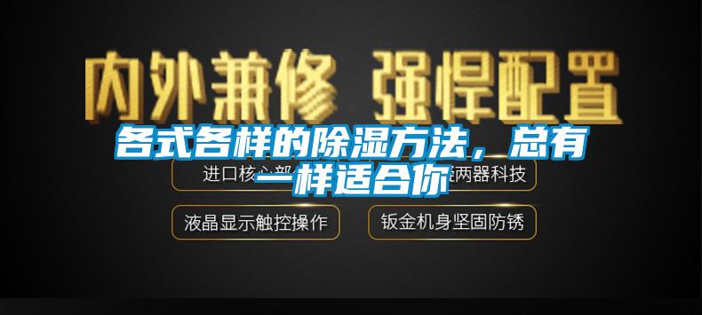 各式各樣的除濕方法，總有一樣適合你