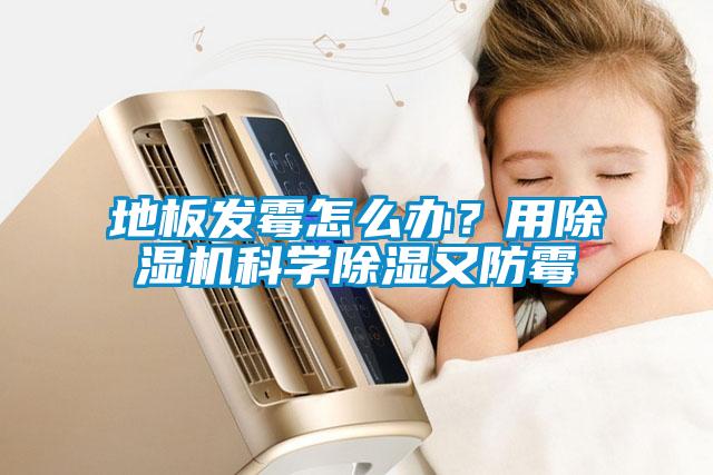 地板發(fā)霉怎么辦？用除濕機(jī)科學(xué)除濕又防霉