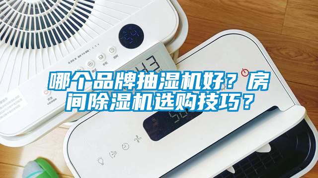 哪個(gè)品牌抽濕機(jī)好？房間除濕機(jī)選購(gòu)技巧？