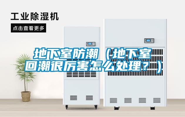 地下室防潮（地下室回潮很厲害怎么處理？）