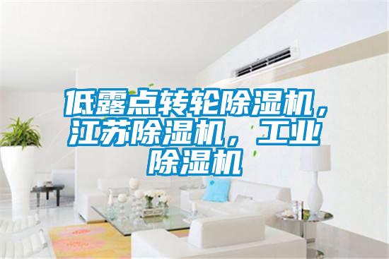 低露點轉(zhuǎn)輪除濕機，江蘇除濕機，工業(yè)除濕機
