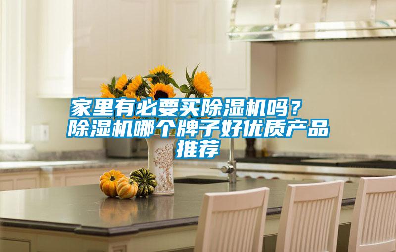 家里有必要買除濕機嗎？ 除濕機哪個牌子好優(yōu)質(zhì)產(chǎn)品推薦