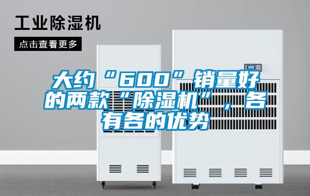 大約“600”銷量好的兩款“除濕機”，各有各的優(yōu)勢
