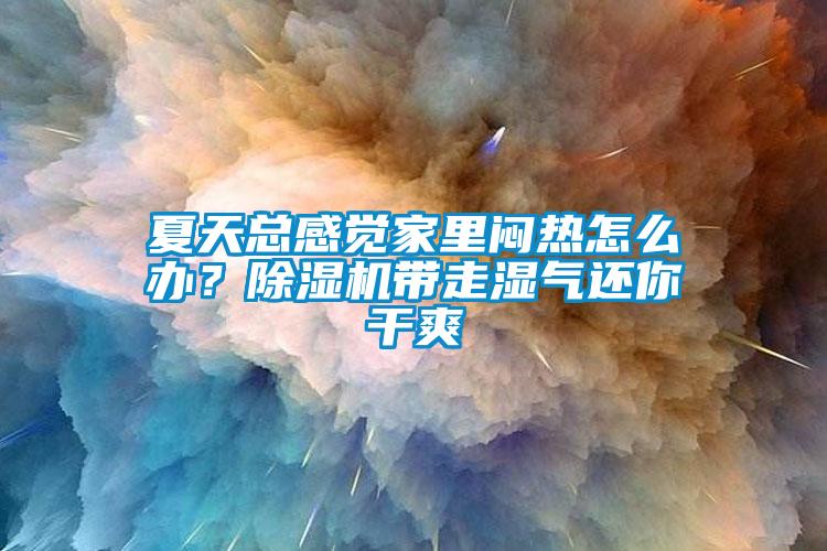 夏天總感覺家里悶熱怎么辦？除濕機帶走濕氣還你干爽