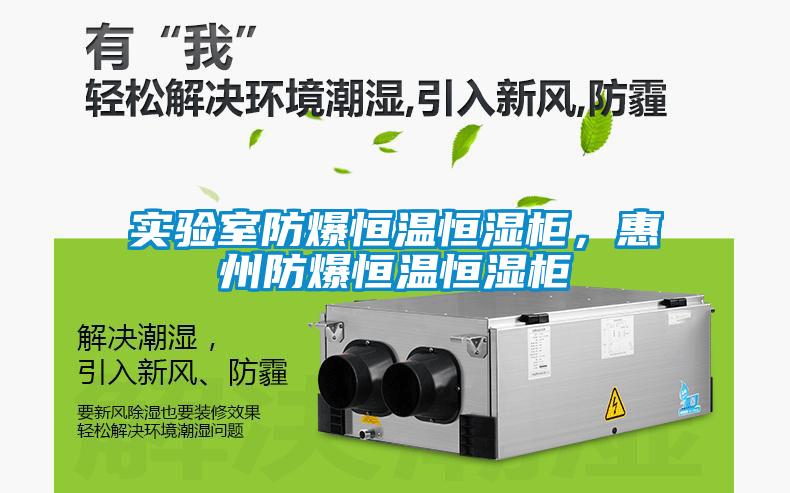 實(shí)驗(yàn)室防爆恒溫恒濕柜，惠州防爆恒溫恒濕柜