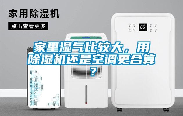 家里濕氣比較大，用除濕機(jī)還是空調(diào)更合算？