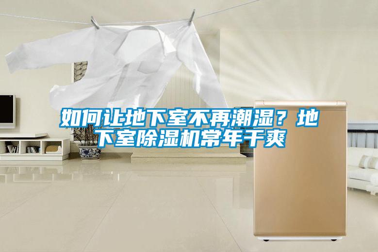 如何讓地下室不再潮濕？地下室除濕機(jī)常年干爽