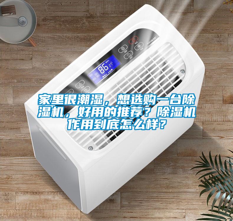 家里很潮濕，想選購一臺除濕機，好用的推薦？除濕機作用到底怎么樣？