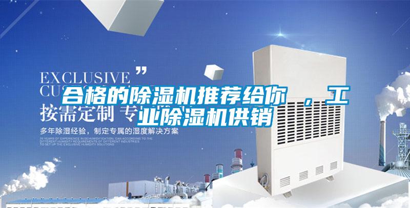 合格的除濕機(jī)推薦給你 ，工業(yè)除濕機(jī)供銷