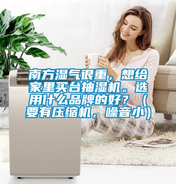 南方濕氣很重，想給家里買臺抽濕機。選用什么品牌的好？（要有壓縮機，噪音小）