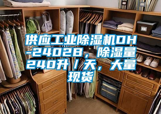 供應(yīng)工業(yè)除濕機(jī)DH-2402B，除濕量240升／天，大量現(xiàn)貨