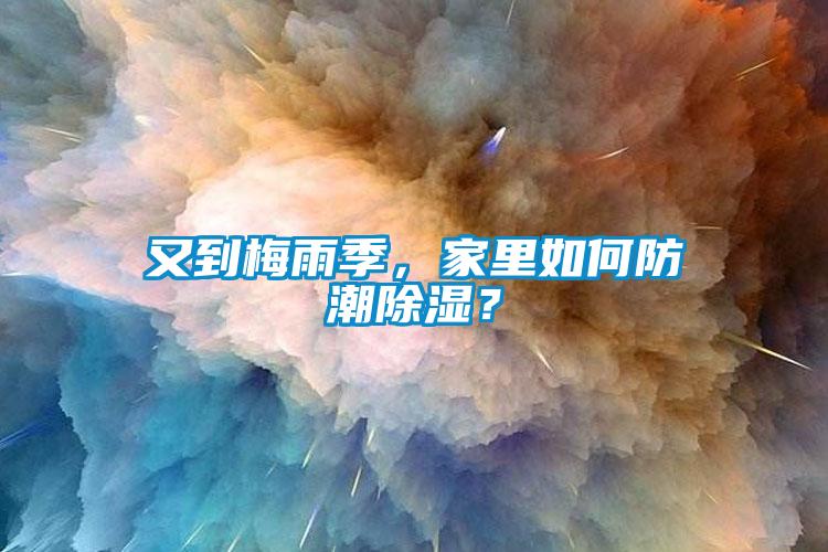 又到梅雨季，家里如何防潮除濕？