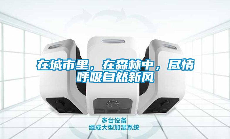 在城市里，在森林中，盡情呼吸自然新風(fēng)