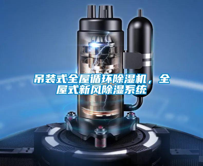 吊裝式全屋循環(huán)除濕機(jī)，全屋式新風(fēng)除濕系統(tǒng)