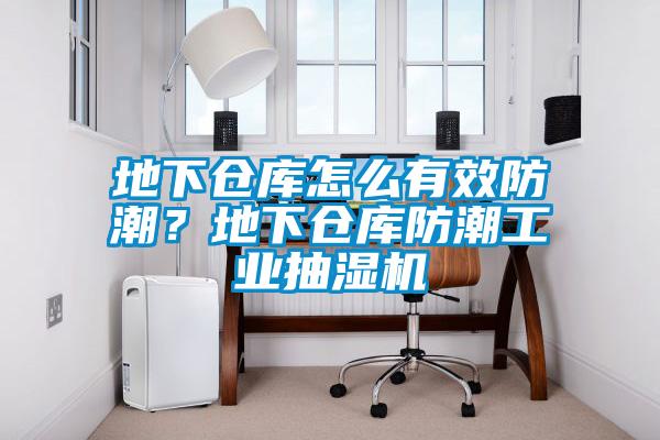 地下倉庫怎么有效防潮？地下倉庫防潮工業(yè)抽濕機(jī)