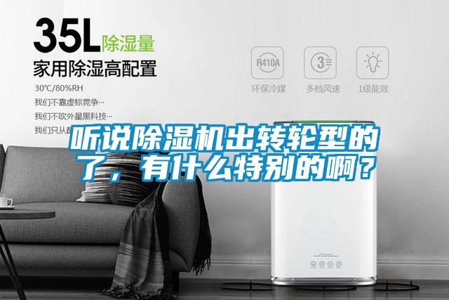 聽說除濕機(jī)出轉(zhuǎn)輪型的了，有什么特別的?。?/></p>
						    <p style=