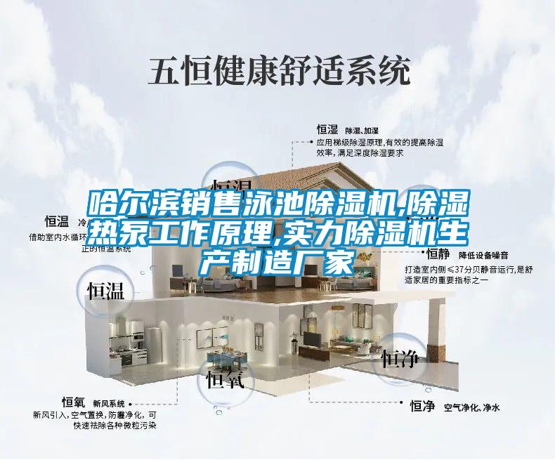 哈爾濱銷(xiāo)售泳池除濕機(jī),除濕熱泵工作原理,實(shí)力除濕機(jī)生產(chǎn)制造廠(chǎng)家