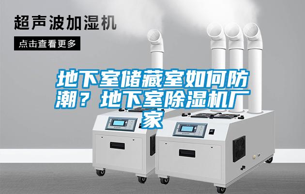 地下室儲(chǔ)藏室如何防潮？地下室除濕機(jī)廠家