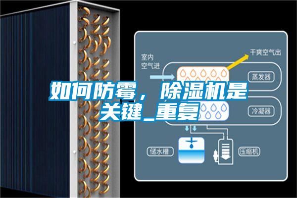 如何防霉，除濕機(jī)是關(guān)鍵_重復(fù)