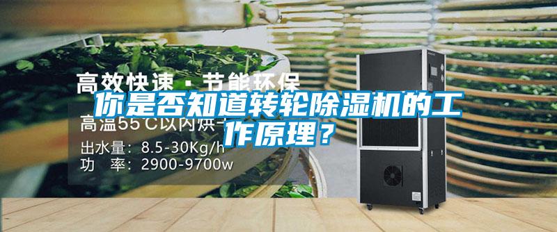 你是否知道轉(zhuǎn)輪除濕機的工作原理？