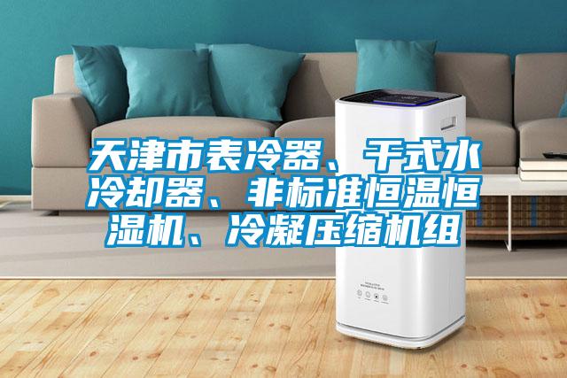 天津市表冷器、干式水冷卻器、非標(biāo)準(zhǔn)恒溫恒濕機(jī)、冷凝壓縮機(jī)組