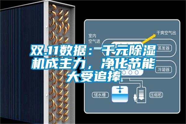 雙.11數(shù)據(jù)：千元除濕機(jī)成主力，凈化節(jié)能大受追捧