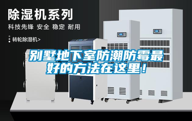 別墅地下室防潮防霉最好的方法在這里！