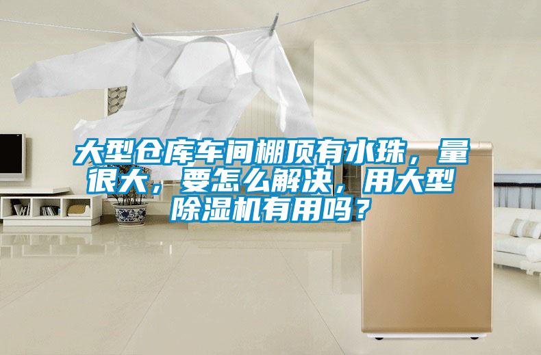 大型倉庫車間棚頂有水珠，量很大，要怎么解決，用大型除濕機有用嗎？
