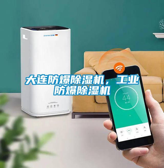 大連防爆除濕機，工業(yè)防爆除濕機