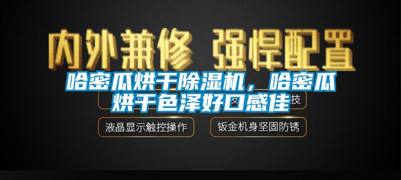 哈密瓜烘干除濕機(jī)，哈密瓜烘干色澤好口感佳