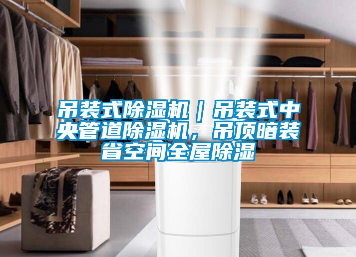 吊裝式除濕機｜吊裝式中央管道除濕機，吊頂暗裝省空間全屋除濕