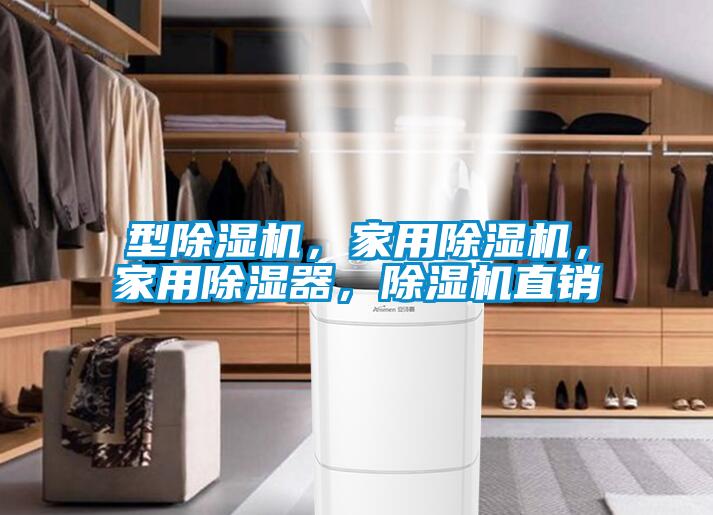 型除濕機(jī)，家用除濕機(jī)，家用除濕器，除濕機(jī)直銷(xiāo)