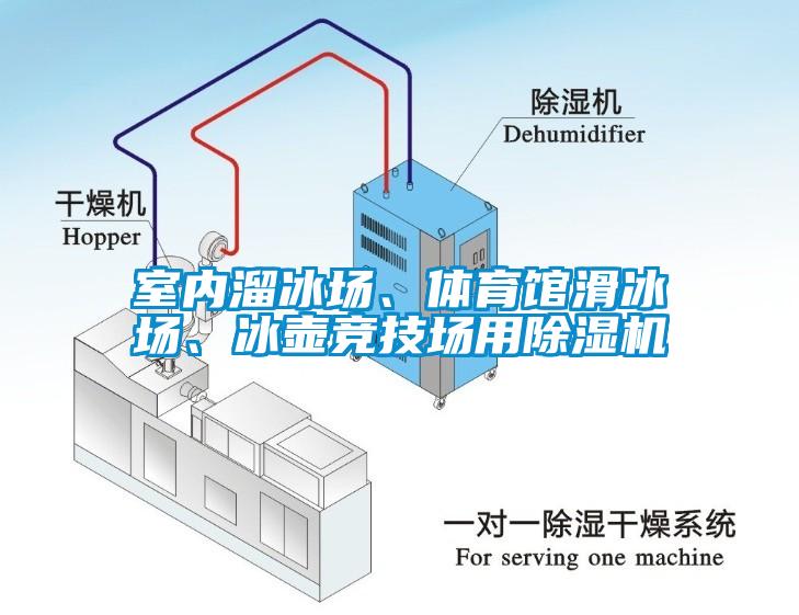 室內(nèi)溜冰場(chǎng)、體育館滑冰場(chǎng)、冰壺競(jìng)技場(chǎng)用除濕機(jī)