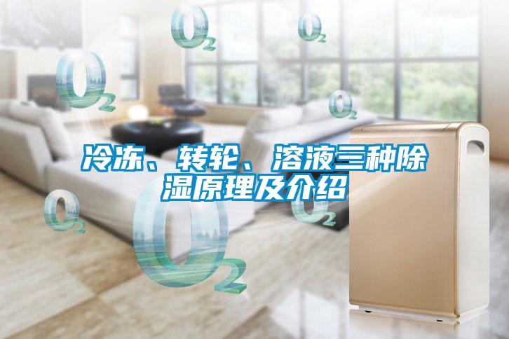 冷凍、轉(zhuǎn)輪、溶液三種除濕原理及介紹