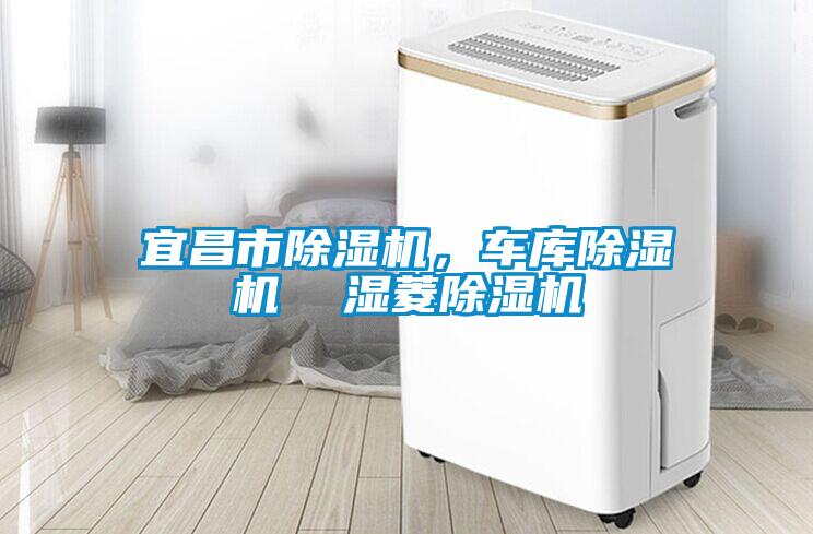 宜昌市除濕機(jī)，車庫除濕機(jī)  濕菱除濕機(jī)