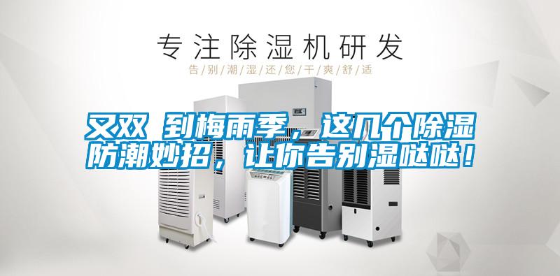 又雙叒到梅雨季，這幾個除濕防潮妙招，讓你告別濕噠噠！