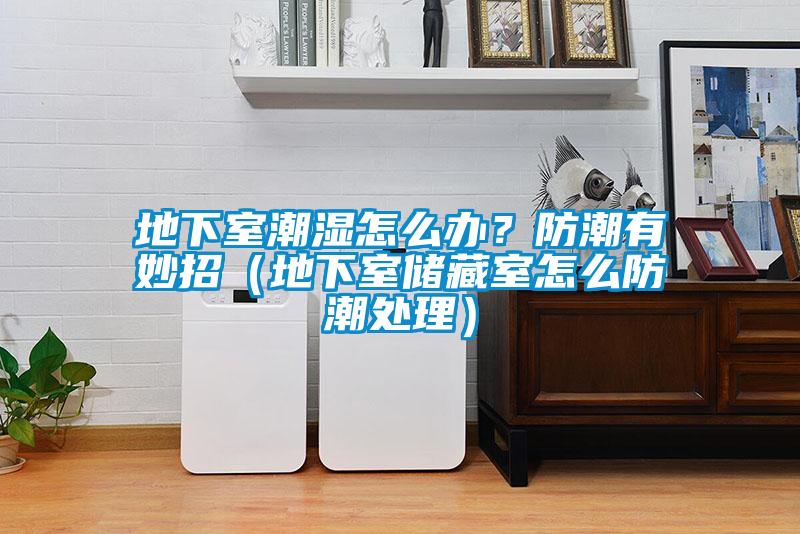 地下室潮濕怎么辦？防潮有妙招（地下室儲(chǔ)藏室怎么防潮處理）