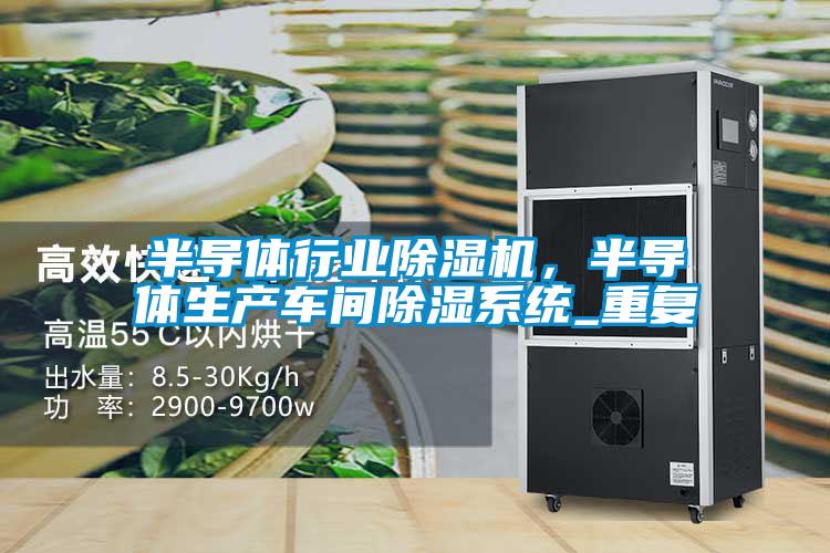 半導(dǎo)體行業(yè)除濕機(jī)，半導(dǎo)體生產(chǎn)車間除濕系統(tǒng)_重復(fù)