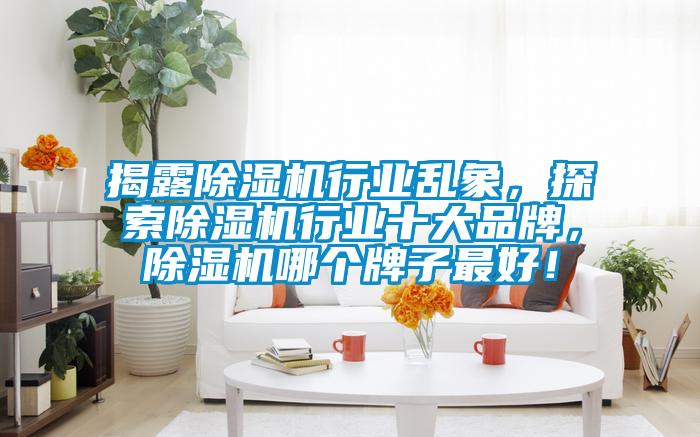 揭露除濕機(jī)行業(yè)亂象，探索除濕機(jī)行業(yè)十大品牌，除濕機(jī)哪個(gè)牌子最好！