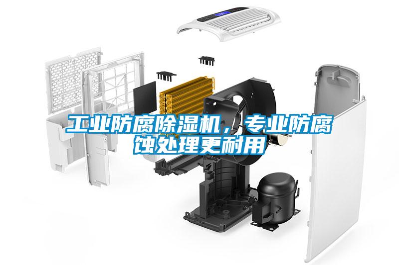 工業(yè)防腐除濕機，專業(yè)防腐蝕處理更耐用